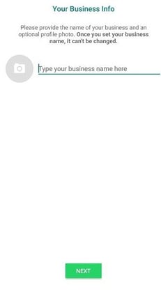Info Whatsapp Business